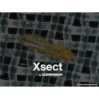 xsect-xtreme-thrip1jpg.jpg