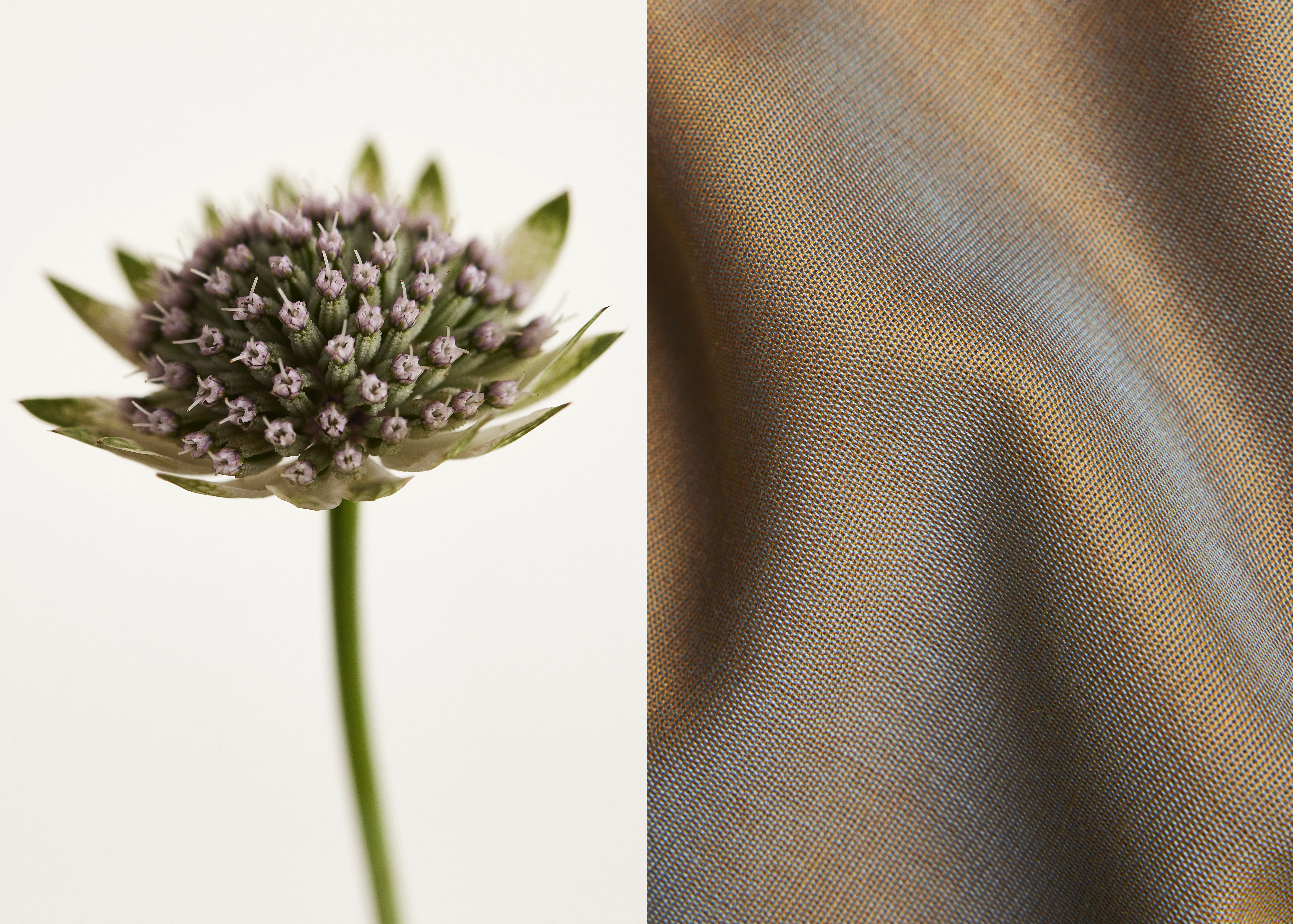 ALTER